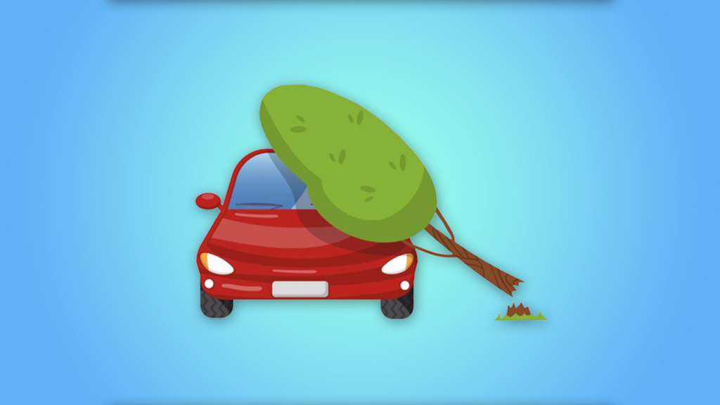 По какой страховке можно получить компенсацию, если на машину упало дерево: ОСАГО или КАСКО?